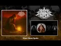 Lagu ELBERETH'S GRACE - Where Silence Speaks | 2026 | Full Album |