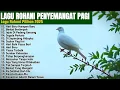 Download Lagu LAGU ROHANI PENYEMANGAT PAGI PILIHAN 2025 • LAGU ROHANI TERBARU • LAGU ROHANI TERBAIK