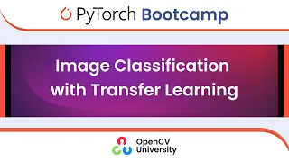 Pytorch Bootcamp for Beginners - 6 Image Classification Using Transfer Learning
