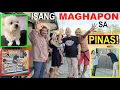 A DAY in my LIFE, PHILIPPINES!!😊🇵🇭 MAYSAKIT si JohnnyDEEP, GROOM ng mga DOGS, BONETE, LOTTO \u0026 MORE!