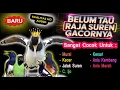 Download Lagu Masteran Jalak Suren Full Isian Cocok Auto Mewah