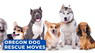 Oregon Dog Rescue moving to new facility