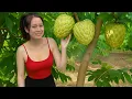 Download Lagu Harvest Giant Custard Apples on Rainy Days | Traditional Village Cooking \u0026 Daily Life