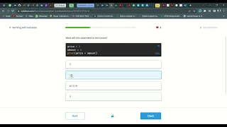 9 Working with Variables Introduction to Python Sololearn
