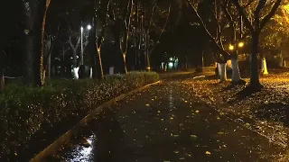 سورة مريم مع اصوات المطر اجواء الليل الهادئة يساعد على الاسترخاء القارئ شريف مصطفى 