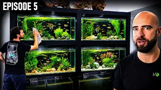 Moving 100's of FISH Into the New Studio |EP05| Warehouse To Fish Studio