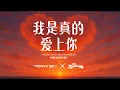 Download Lagu 我是真的爱上你 Wo Shi Zhen De Ai Shang Ni (Ronny Sky \u0026 DJ Mushroom)