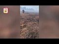 Download Lagu Belum ada tangkapan suspek bakar hutan
