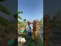 Download Lagu Bu Etik Dihadang Petani saat sedang Perjalanan Dinas, Paluhombo Bendosari #etiksuryani