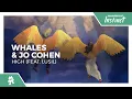 Download Lagu Whales \u0026 Jo Cohen - High (feat. Lusil) [Monstercat Release]