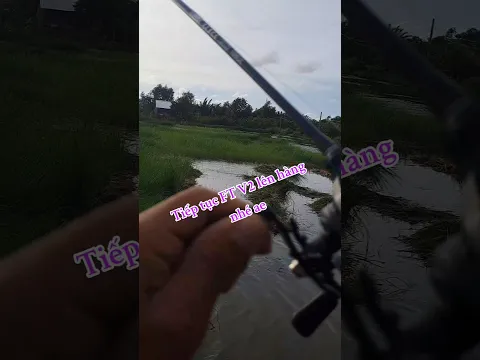 táp hai lần cũng dính #shorst