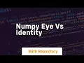 numpy eye vs identity