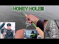 I FOUND A BLUEGILL SHELLCRACKER HONEY HOLE
