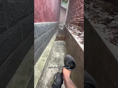 نظّف أوراق الأشجار بسهولة مذهلة! 😮🍂