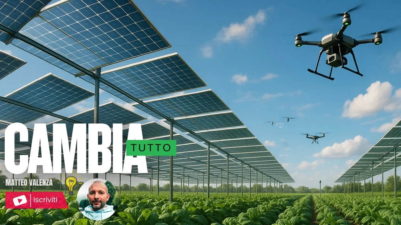 Agrivoltaico, pannelli semitrasparenti e IA per condividere i campi