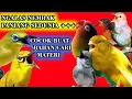 Download Lagu MASTERAN PLECI NGALAS NEMBAK TERPANJANG SEDUNIA...+++ (VARIASI TEMBAKAN ) PAS BUAT LATIH BAHAN