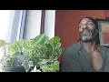 Gangstalking and Chosen ones What I ve learned from living with my Gangstalker