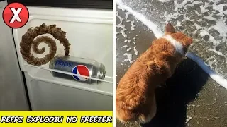 TOP 07 COINCIDÊNCIAS MAIS LOUCAS DO MUNDO l Almanaque x