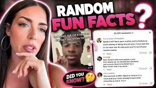 Random fun facts