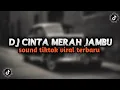 Download Lagu DJ CINTA MERAH JAMBU FULLSONG REMIX TIKTOK VIRAL 2025 YANG KALIAN CARI CARI