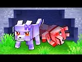 Lagu Saving a HURT WOLF in Minecraft!