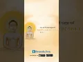 Download Lagu Mahaveer Jayanti | महावीर जयंती शॉर्ट्स | Mahavir Jayanti 2023 | Mahavir Jayanti WhatsApp Status 🙏 ✨