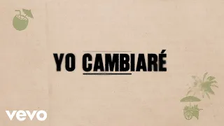 Luis Fonsi, Feid - CAMBIARÉ (Lyric Video)