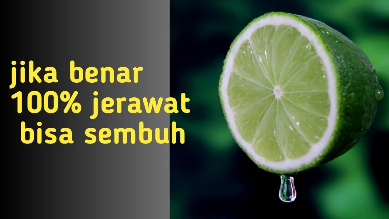 
          
          
          
            
            Cara yg benar mengobati jerawat dengan jeruk nipis
          
        . 