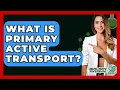 What Is Primary Active Transport? - Biology For Everyone
