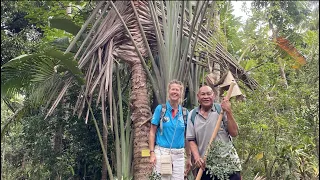Five Weeks in Tonga: Island Exploration – Ep. 206