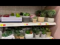 Beautiful Artificial plants at Walmart in USA