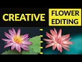 Creative flower photography editing