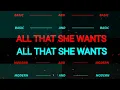 Download Lagu DISCO HUNTER - All that she wants (Breaklatin Remix)