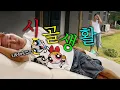 Download Lagu 아무도 안 궁금하시겠지만 저 시골 왔어요