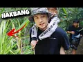 Download Lagu USAD