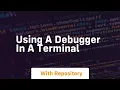 Using a debugger in a terminal