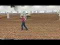 Nutrena Ride the Pattern Clinic Equitation Over Fences