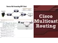 Cisco Multicast Routing for CCNA CCNP and CCIE Candidates