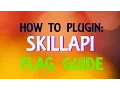 SkillAPI Minecraft plugin Flag Guide