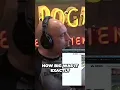 Joe Rogan Giant Snakes True Size Revealed Shocking Discovery in Indonesia