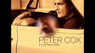 Download If You Walk Away - Peter Cox MP3