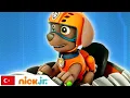 Download Lagu Pati Devriyesi | Eğitim Görevleri - 1. Bölüm | Nick Jr.