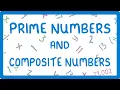 What are Prime Numbers and Composite Numbers