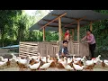 Download Lagu Herbouw van kippenhokken na catastrofale overstromingen - Herbouw van boerderijen na een ramp - L...