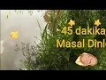 Download Lagu 45 dakika Masal Dinle - Uzun masal - Uyku yolculuğu - Sesli masallar