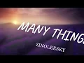 MANY THINGS -  ZINOLEESKY (LYRICS)