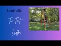Louisville Ladder 10-Foot Fiberglass Step Ladder Heavy-Duty 375-Pound Capacity