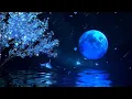 Lagu (No Ads) Deep Relaxation Music • Sleep Instantly Within 3 Minutes • Calm Your Subconscious Mind