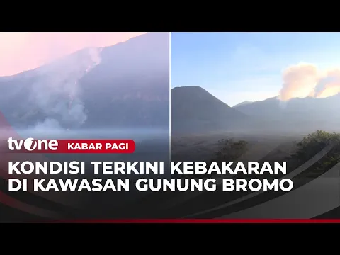 Kebakaran Bromo Meluas, 520 Hektare Kawasan TNBTS Terbakar