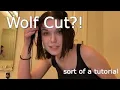Cutting My Hair Wolf